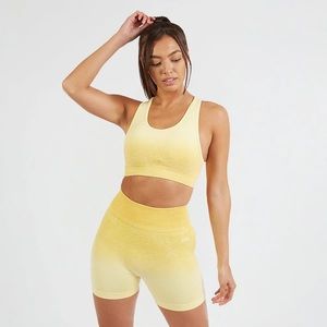 NWT AYBL Ombré Pulse Workout Set